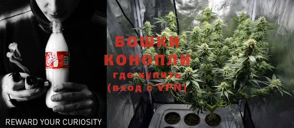 хмурый Бронницы