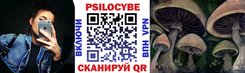 купить наркоту  Светлогорск  Псилоцибиновые грибы MAGIC MUSHROOMS 