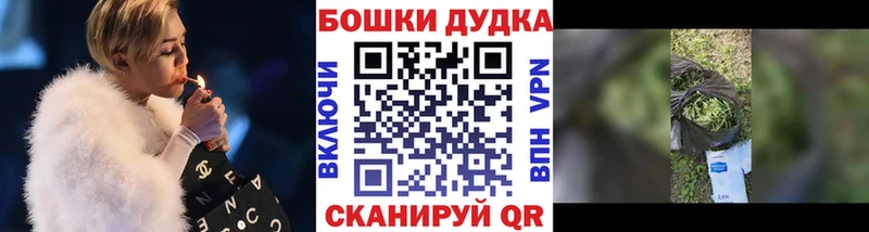 Бошки марихуана Amnesia  Светлогорск 